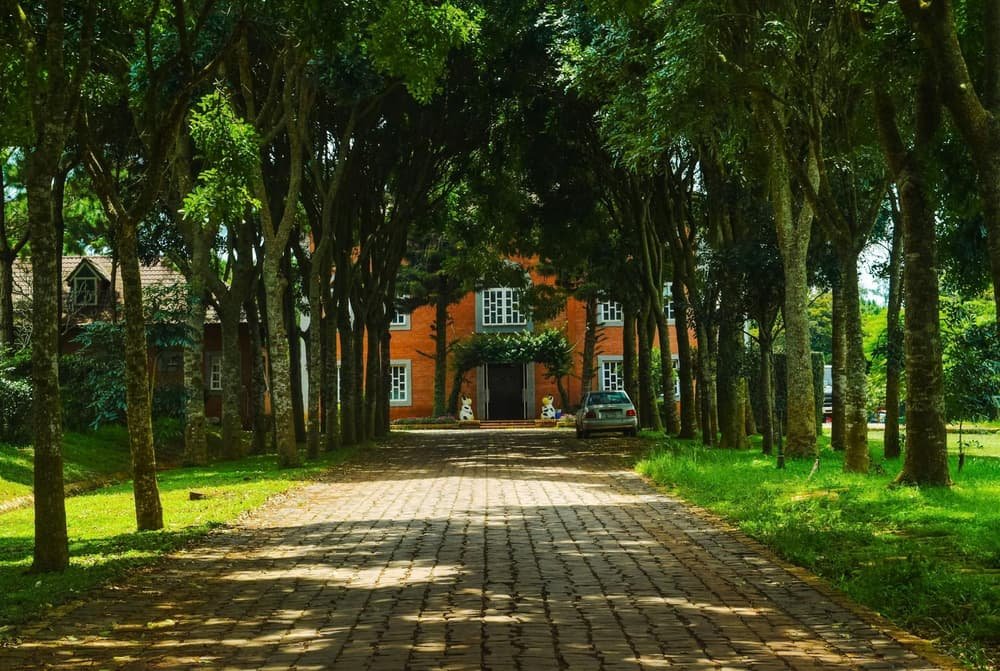 Garage door services in Belmont